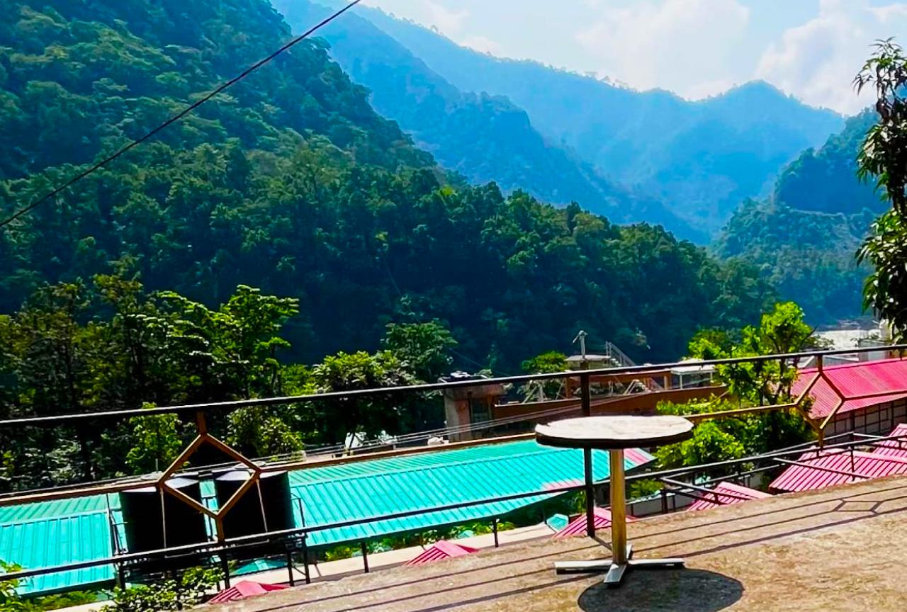 Forest mountains and nature.